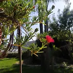 Ferienhaus Giardino Di Circe Agrigent