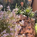 Giardino Di Circe * Agrigent