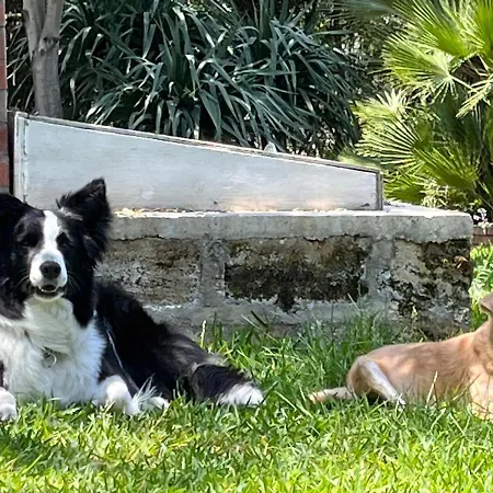 Giardino Di Circe بيت للعطل