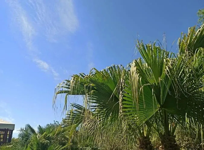 بيت للعطل Giardino Di Circe *