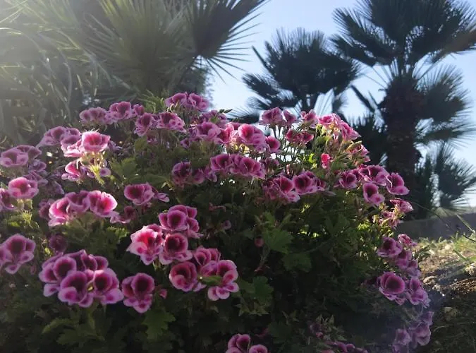 Giardino Di Circe بيت للعطل