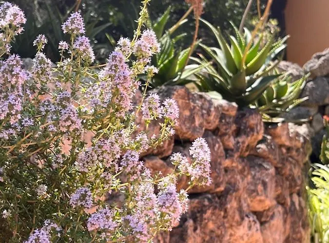 Giardino Di Circe * أغريجنتو