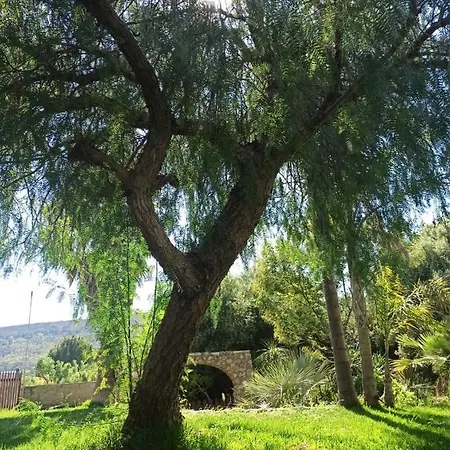Hébergement de vacances Giardino Di Circe