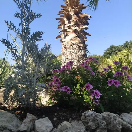 Hébergement de vacances Giardino Di Circe *