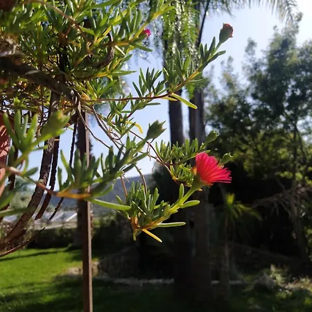 Prázdninový dům Giardino Di Circe Agrigento