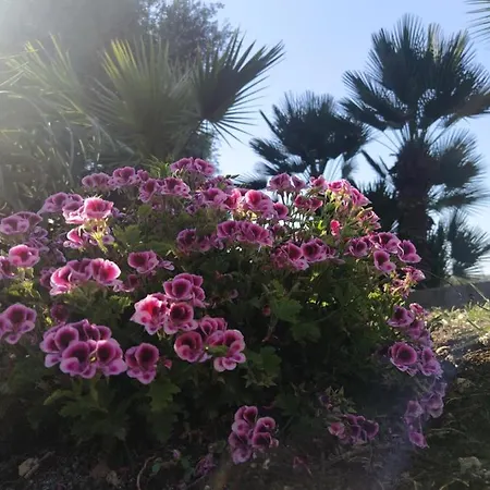 Giardino Di Circe Prázdninový dům