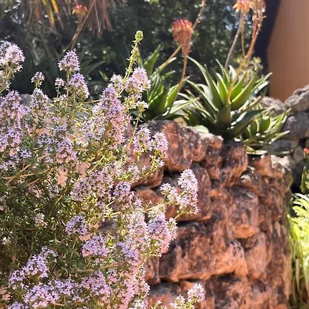 Giardino Di Circe * Agrigento