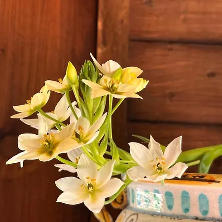 Giardino Di Circe Agrigente