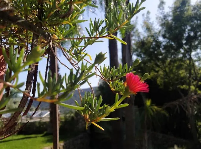 펜션 Giardino Di Circe 아그리젠토