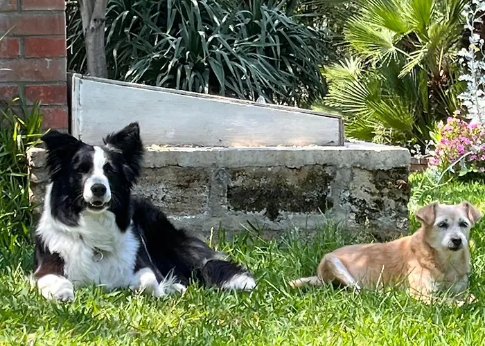 Giardino Di Circe Dom wakacyjny